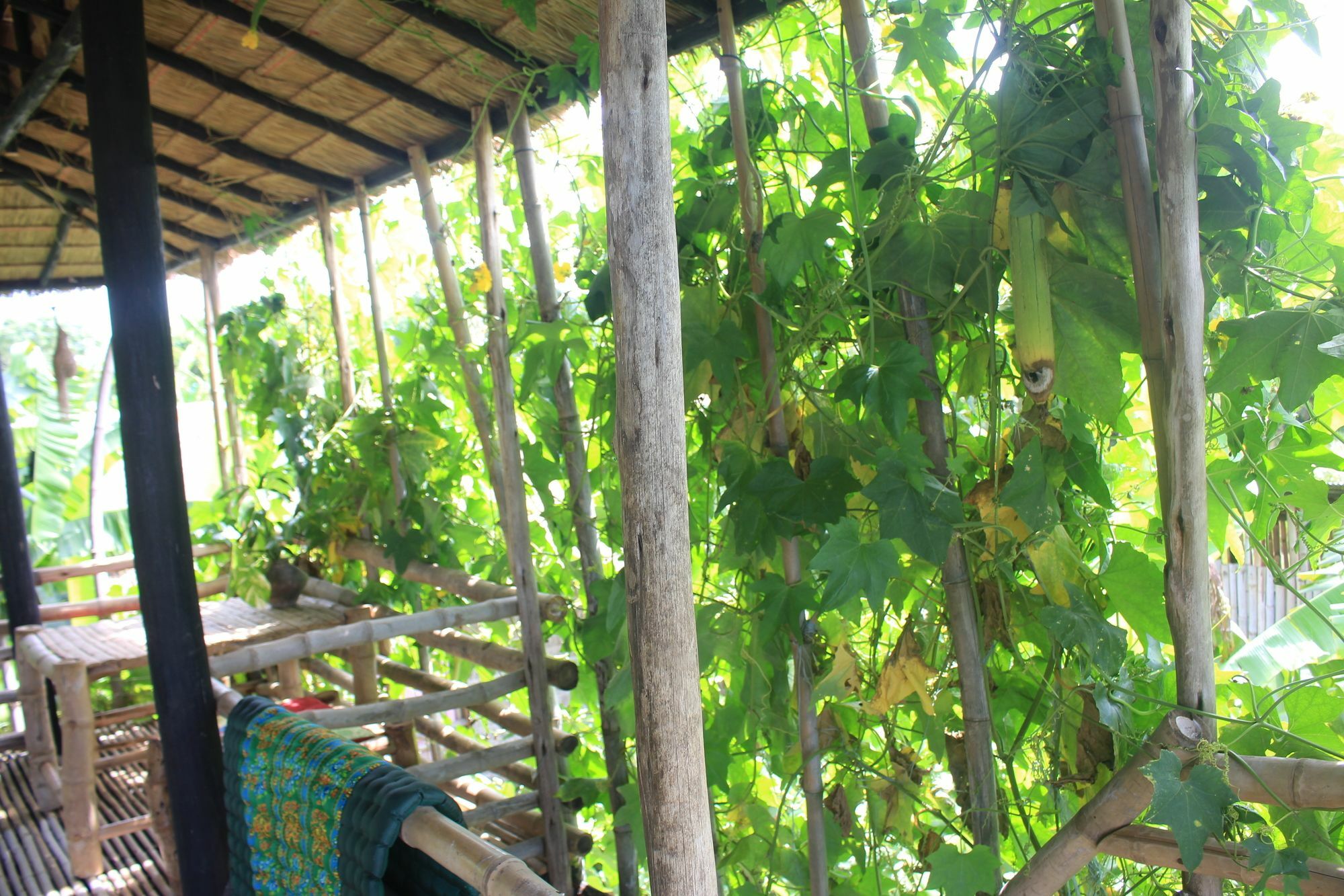 Battambang Dream Bungalows 외부 사진