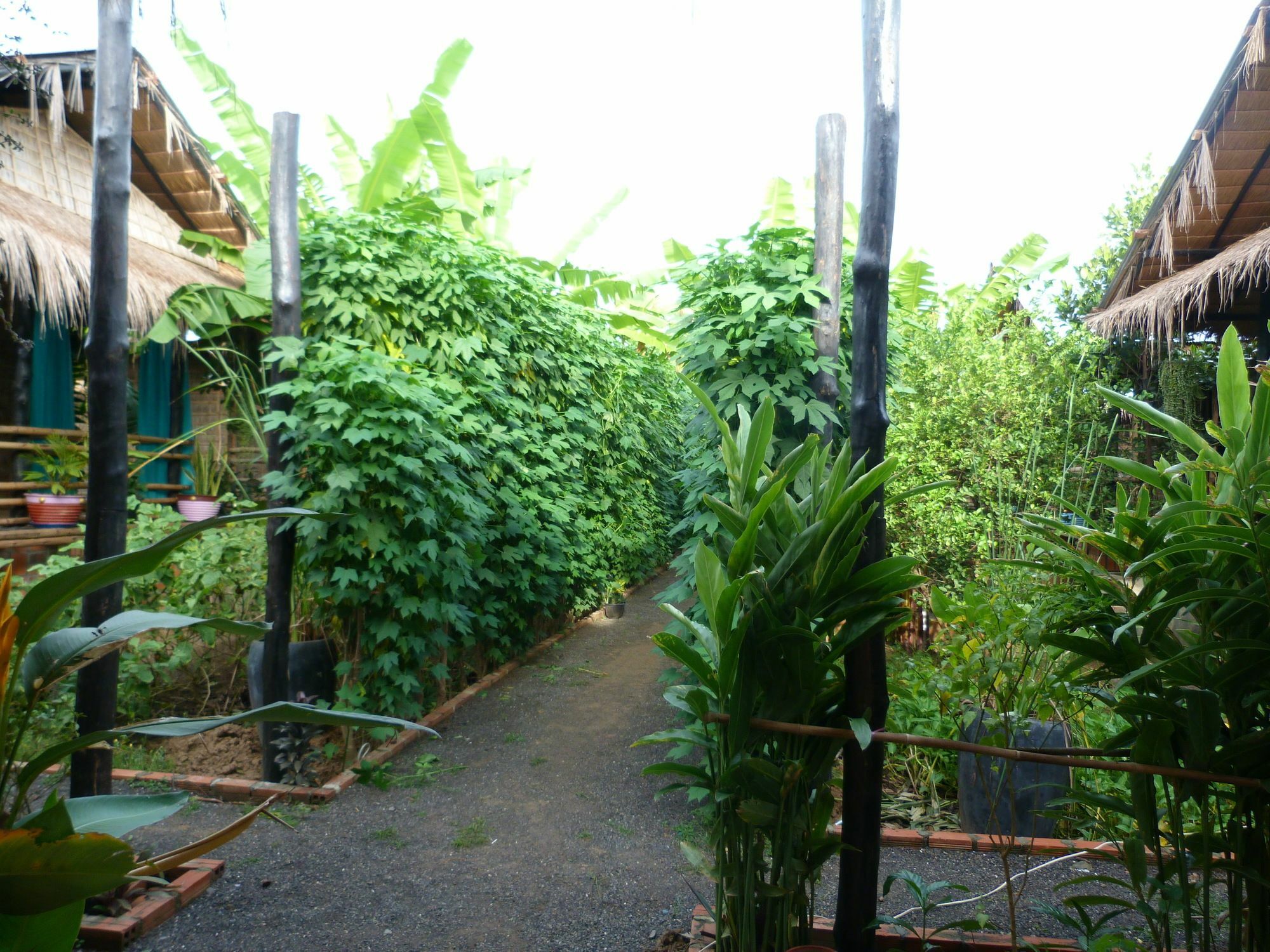 Battambang Dream Bungalows 외부 사진